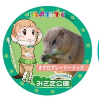 「けものフレンズ」大阪のみさき公園で夏休みコラボ開催 関西初のキャラクターパネル展示も 画像