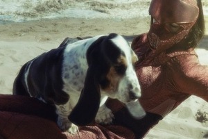 映画「ガルム・ウォーズ」Twitterでドッグショーを開催　愛犬との写真をツイート 画像