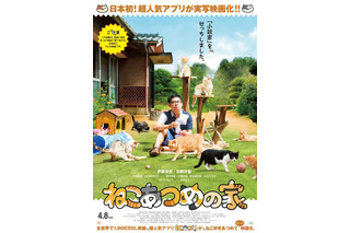 伊藤淳史主演「ねこあつめの家」ポスタービジュアルに猫集結 主人公も設置 画像