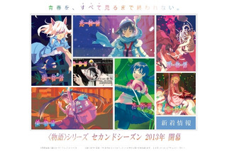 西尾維新<物語>シリーズ　2013年に一挙6作品のアニメ化発表 画像