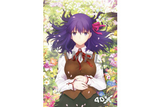 劇場版「Fate/stay night[HF]」新たな来場者特典は？ 4DX＆MX4D版、2月3日上映スタート 画像