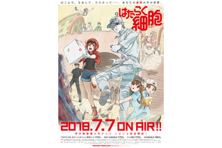 「はたらく細胞」能登麻美子＆千葉翔也が追加参戦！細胞たちの働きが見られるPVも公開 画像