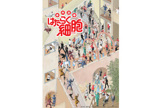 舞台「はたらく細胞」どこに誰がいるかな？ 第2弾ビジュアル公開！　千秋楽のライブ配信も決定 画像