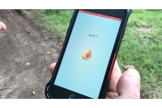 「ポケモン」“ピカ・ブイ”やるなら“ポケGO”もやろうぜ！今から始める人が知っておきたい5点 画像