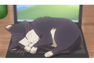 「同居人はひざ、時々、頭のうえ。」素晴、一緒に暮らし始めた“猫”の名前を考える　第2話先行カット 画像