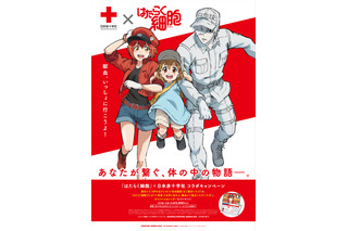 「はたらく細胞」日本赤十字社と“献血”コラボ！ ポスター配布＆関連エピソード配信も 画像