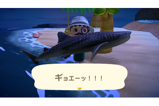 「あつまれ どうぶつの森」6月からは虫取り＆魚釣りが熱い！ 新登場した高額生物たちの出現場所・時間帯を紹介 画像