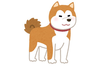 “犬”キャラといえば？ アンケート〆切は10月31日 画像