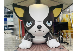 「ジョジョ」史上最大のイギーが“デカかわッ！” 「JOJODAY」開催記念で渋谷にバルーン登場 画像