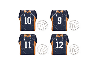 「ハイキュー!!」鳥野高校ウェア＆バレーボールのアルミ巻きチョコが登場！ヒナガラス型ケースも 画像