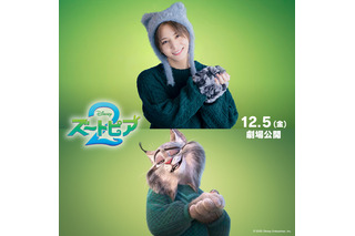 「ズートピア２」山田涼介がディズニー作品初参加！イケメン御曹司のオオヤマネコ・パウバート役で出演 画像