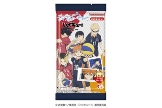 「ハイキュー!!」日向や研磨、影山などのポートレートが登場！「ゴミ捨て場の決戦」の場面写真などラインナップ 画像