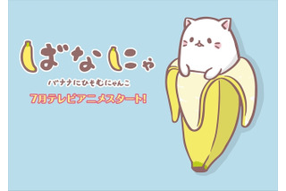 主人公は梶裕貴、「ばなにゃ」2016年7月よりTVアニメ放送開始　バナナに潜むにゃんことは? 画像