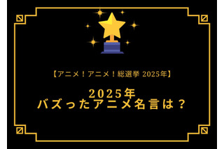 2025年バズったアニメ名言は？【2025年アニメ！アニメ！総選挙】アンケート〆切は12月16日まで 画像