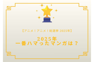 2025年一番ハマったマンガは？【2025年アニメ！アニメ！総選挙】アンケート〆切は12月18日まで 画像
