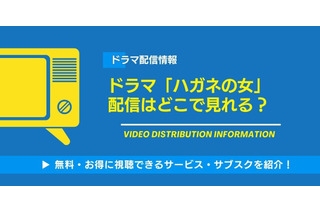ドラマ「ハガネの女」の配信はどこで見れる？無料視聴できるサービス・サブスクを紹介！ 画像
