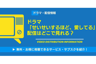 「せいせいするほど、愛してる」の配信は？ 視聴方法・キャストも紹介 画像