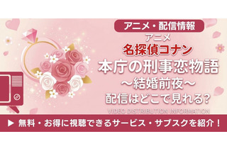 『名探偵コナン』本庁の刑事恋物語の配信情報｜無料で見れるサブスクは？ 画像