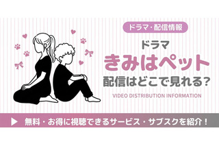 ドラマ「きみはペット」の配信はどこで見れる？松本潤版の視聴方法を紹介 画像