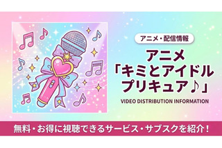 「キミとアイドルプリキュア♪」の配信サービス一覧｜無料で見る方法 画像