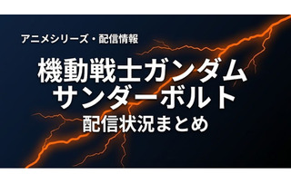 「機動戦士ガンダム サンダーボルト」の配信はどこで見れる？お得に視聴できるサブスクまとめ 画像