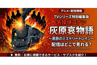 TVシリーズ特別編集版「名探偵コナン 灰原哀物語～黒鉄のミステリートレイン～」の配信はどこ？無料視聴方法 画像