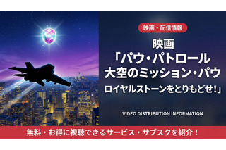 「パウ・パトロール 大空のミッション・パウ」の配信はどこで見れる？Netflixなど徹底調査！ 画像