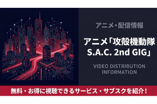 「攻殻機動隊 S.A.C. 2nd GIG」の配信はどこで見れる？サブスクまとめ 画像