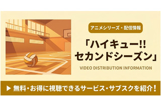 「ハイキュー!!」2期の配信はどこで見れる？無料視聴におすすめのサブスクを紹介 画像