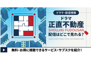 ドラマ「正直不動産」の配信はどこで見れる？無料で視聴する方法を紹介 画像