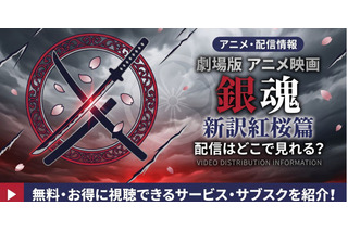 劇場版「銀魂 新訳紅桜篇」の配信はどこで見れる？見放題サービス比較 画像