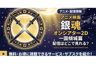 アニメ「銀魂オンシアター2D 一国傾城篇」配信情報｜新劇場版「吉原大炎上」の関連作 画像