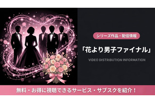 映画「花より男子ファイナル」の配信はどこで見れる？DMM TVで見放題！お得な視聴方法まとめ 画像