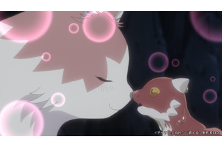 夏アニメ「猫と竜」母猫は、火吹き竜を我が子として育てることを決意する―第1話先行カット 画像