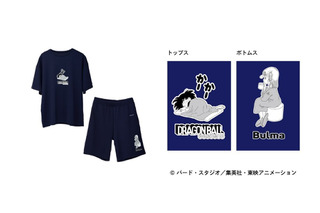 「ドラゴンボール」悟空、クリリン、ブルアらと“亀仙流”の修業だ☆リカバリーウェア登場で“よく動き　よく学び　よく遊び　よく食べて　よく休む”！ 画像