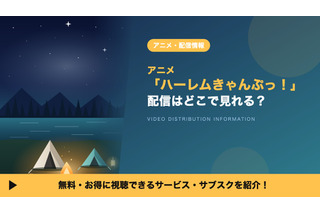 「ハーレムきゃんぷっ！」の配信はどこで見れる？全8話を見放題で視聴する方法 画像