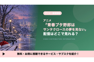 「青春ブタ野郎はサンタクロースの夢を見ない」の配信はどこ？TVアニメ2期を見放題で見れるサブスク 画像