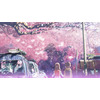 桜を見て思い出すアニメ作品といえば？ 3位「CCさくら」、2位「秒速5センチ」、1位は… 画像