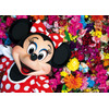 ディズニープリンセスやミッキー＆ミニーが写真家・蜷川実花によって色鮮やかに！写真集発売 画像