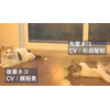 杉田智和と梶裕貴が先輩・後輩猫の“アテネコ動画”で共演！ ウェブCM3編が公開 画像