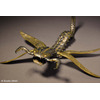 「風の谷のナウシカ」蛇螻蛄を海洋堂が可動フィギュアに　「ジブリの大博物館」記念コラボ 画像