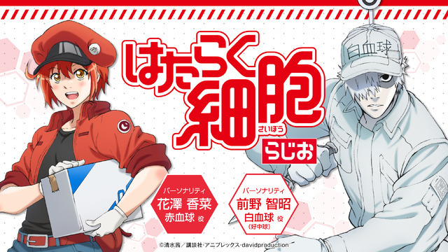 はたらく細胞」花澤香菜＆前野智昭がパーソナリティ担当！ ＜音泉＞で