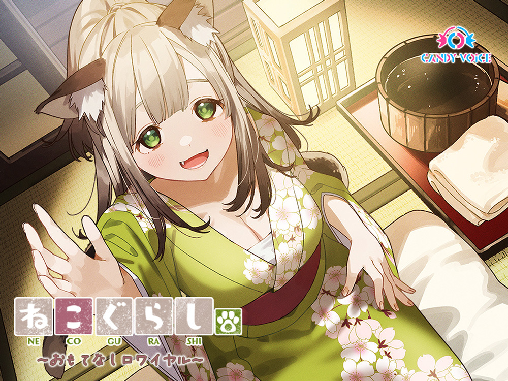 猫乃目さま専用•*¨*•.¸♬︎ 🪪