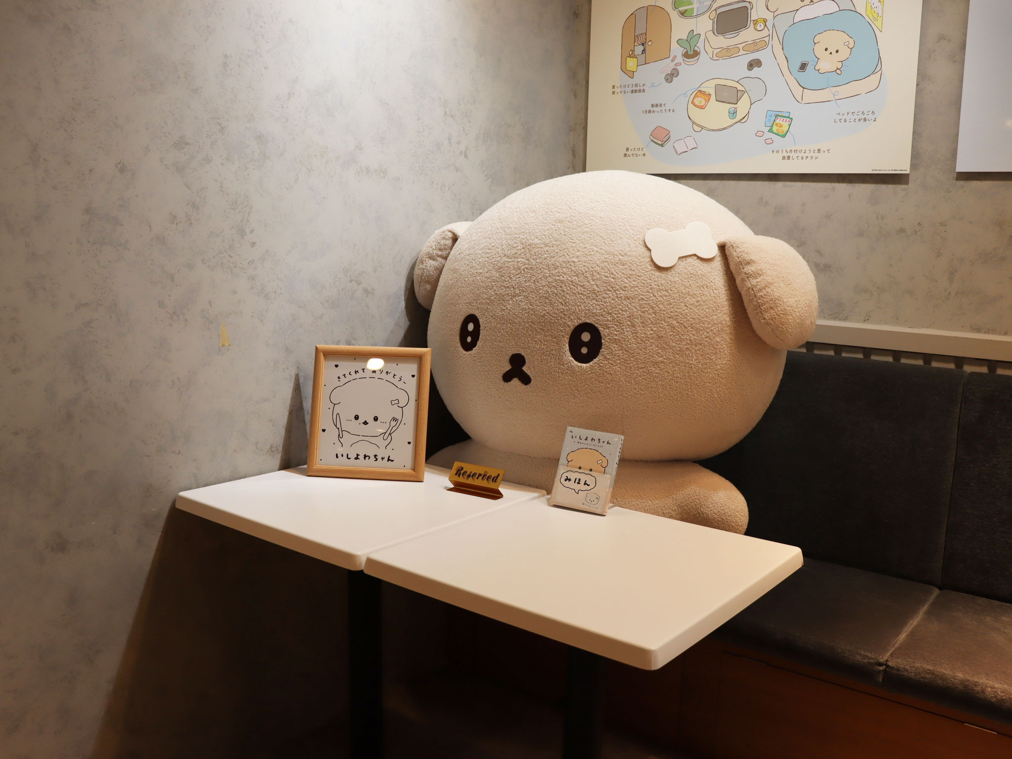 763543.jpg?zoom=spacing