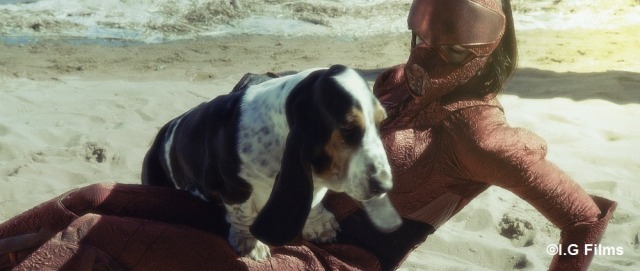 映画「ガルム・ウォーズ」Twitterでドッグショーを開催 愛犬との写真を ...