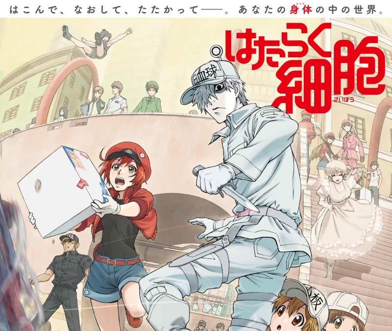 はたらく細胞 能登麻美子 千葉翔也が追加参戦 細胞たちの働きが見られるpvも公開 アニメ アニメ