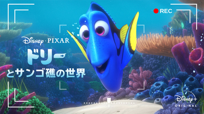 『ドリーとサンゴ礁の世界』（C）2020 Disney/Pixar.