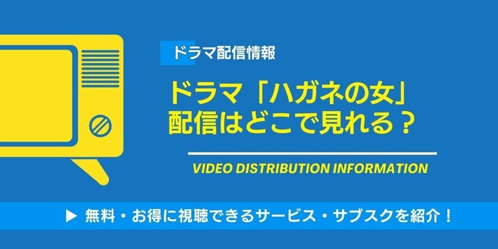ハガネの女 配信情報
