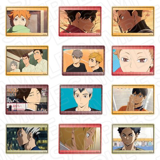 硬質カードケース(ランダム)