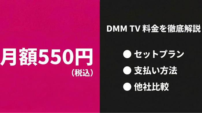 DMM TV 料金プランの徹底解説